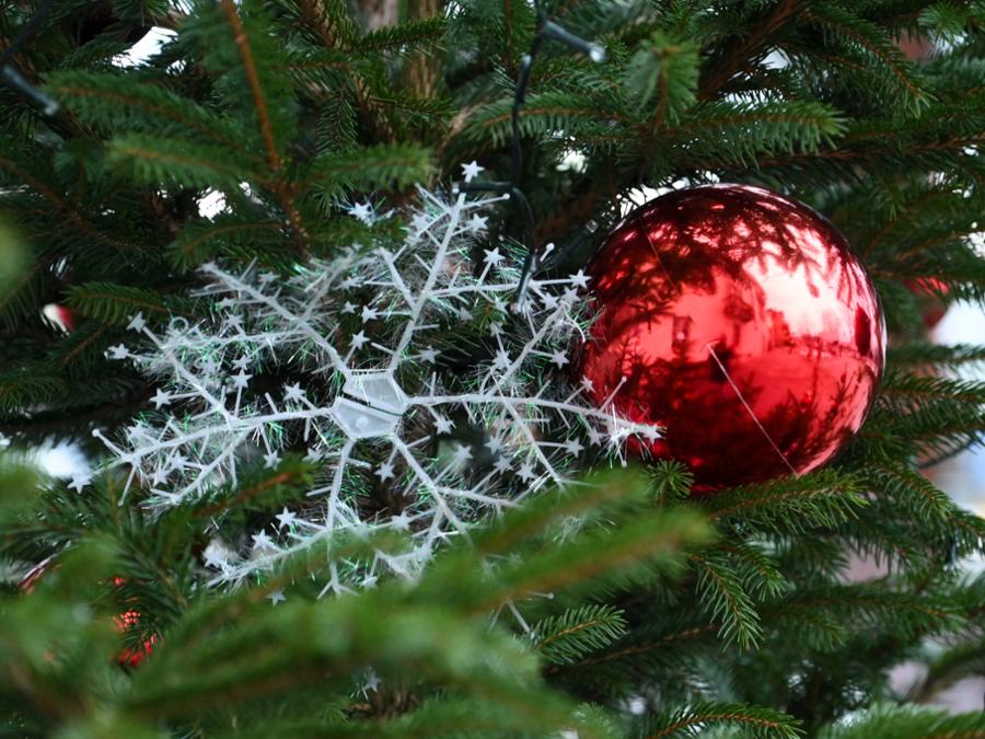 TRADIZIONI NATALIZIE